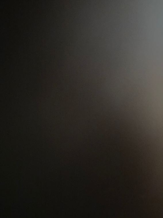 Levis original muski duks vel m slika #5