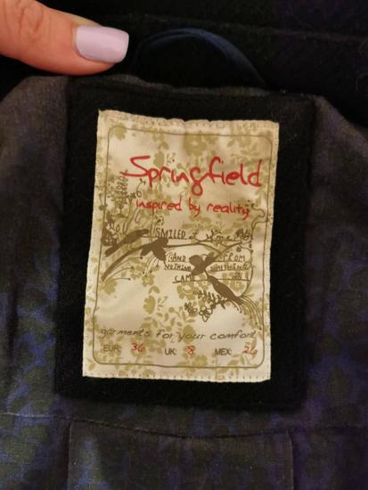 Springfield kaput slika #4