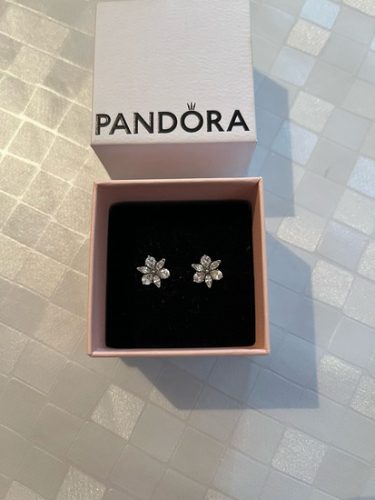 Pandora Sparkling Herbarium Cluster mindjuse, novo thumbnail #3