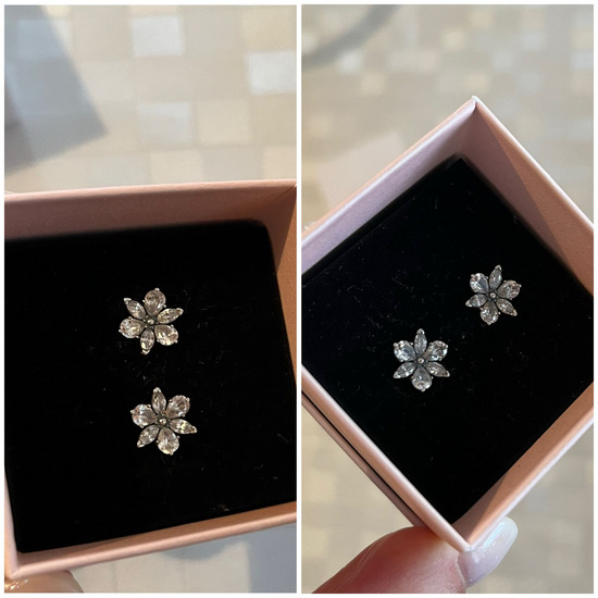 Pandora Sparkling Herbarium Cluster mindjuse, novo slika #2