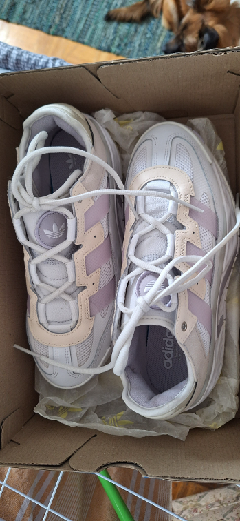 Adidas Niteball patike 39 slika #3