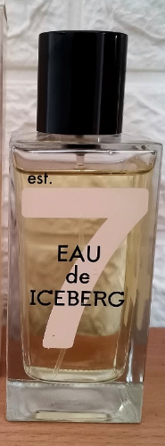 Iceberg Pour femme 100ml, edt