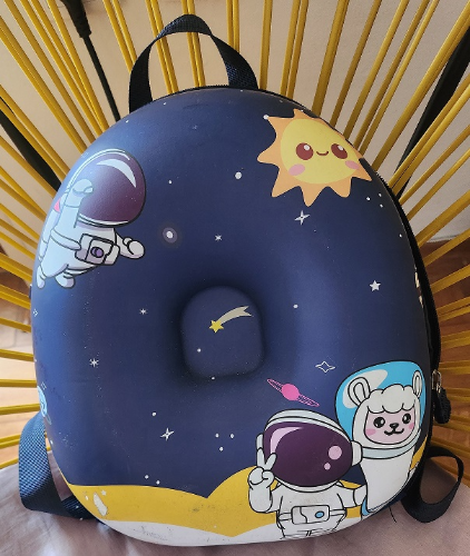 Kosmonaut rančić