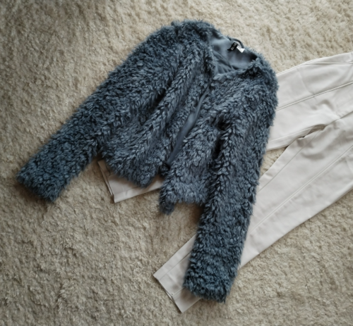 H&M teddy bundica