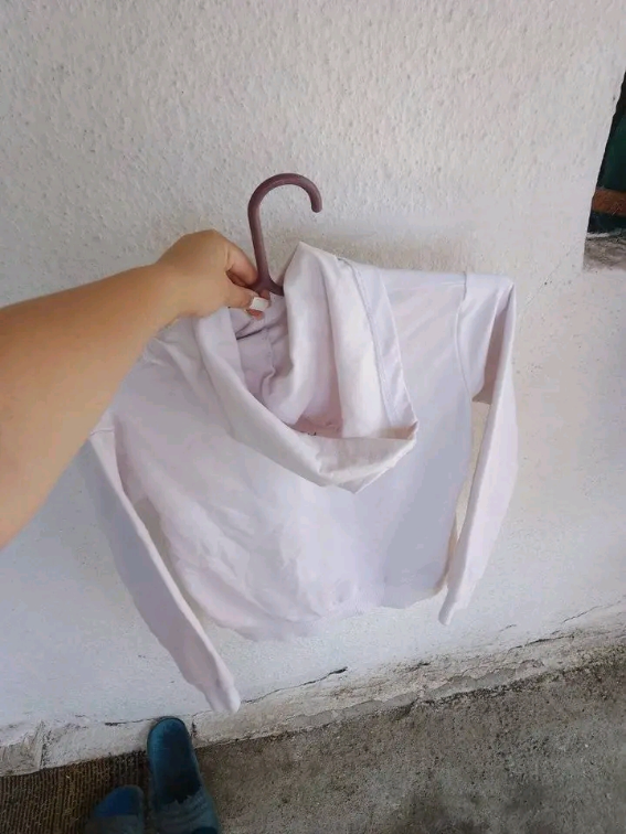 Beli duks slika #1