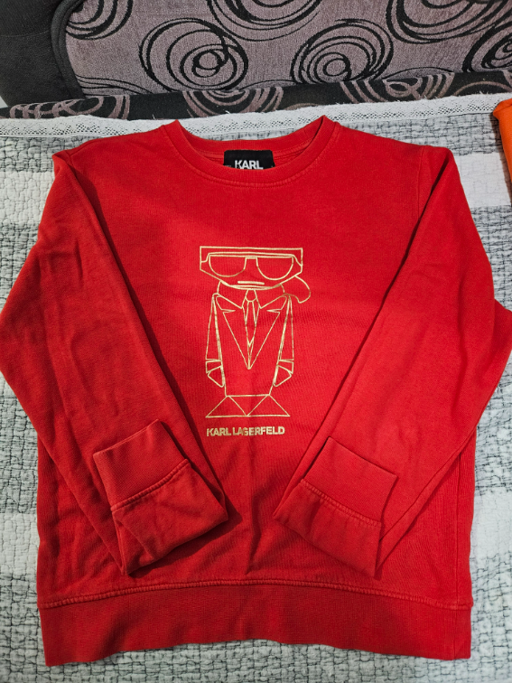 Karl Lagerfeld S duks slika #1