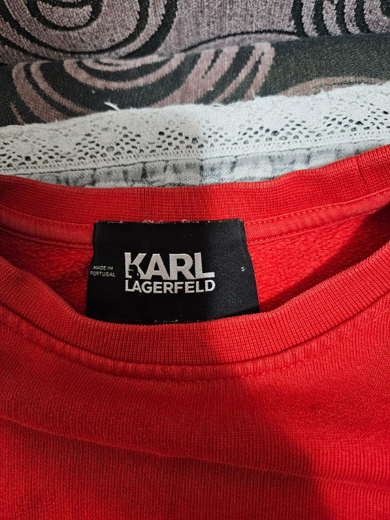 Karl Lagerfeld S duks slika #2