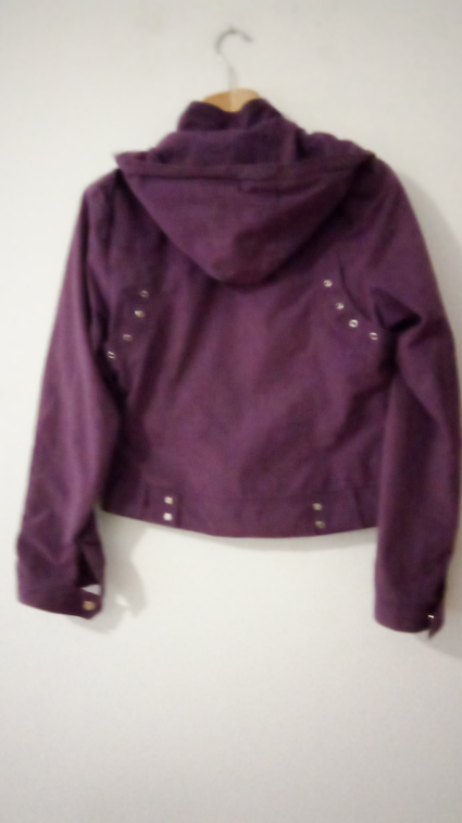 Kratka jaknica slika #3