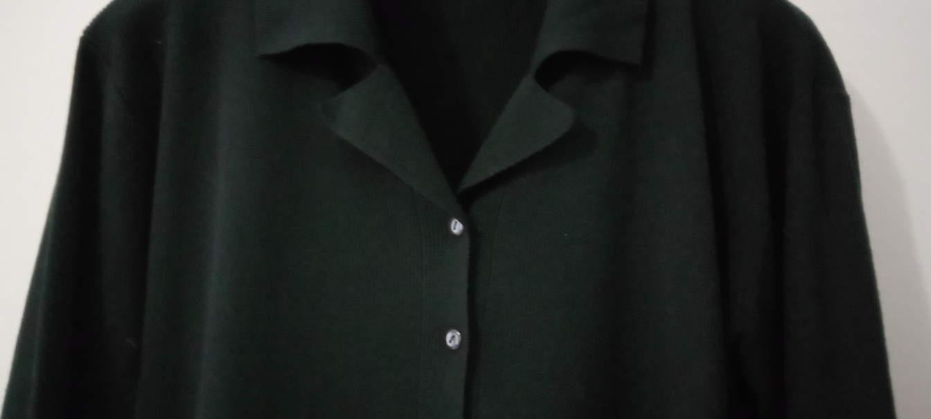 Novi džemper na kopčanje slika #2