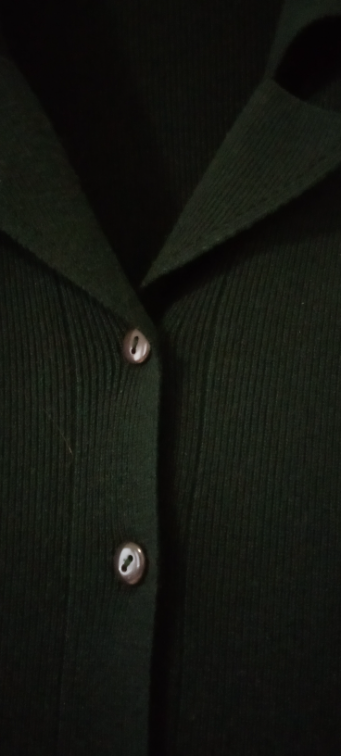 Novi džemper na kopčanje slika #3