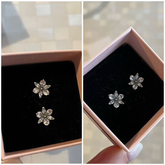 Pandora Sparkling Herbarium Cluster mindjuse slika #2